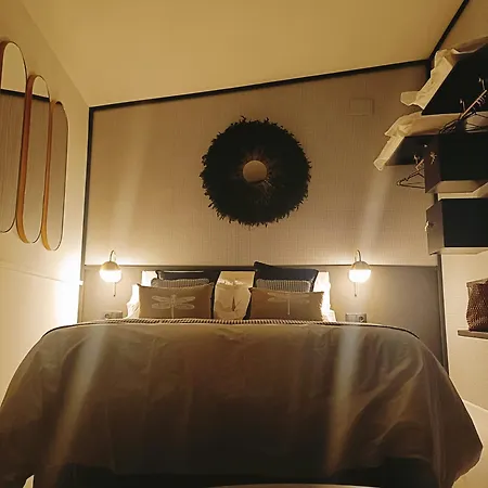 El Jardin De Libelulas