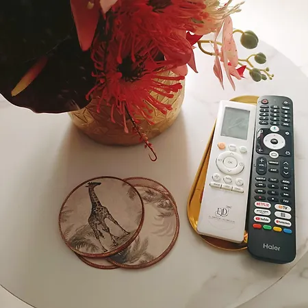 El Jardin De Libelulas Daire Coria