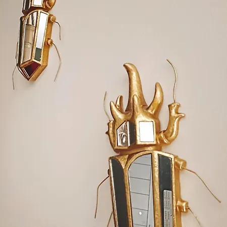 El Jardin De Libelulas