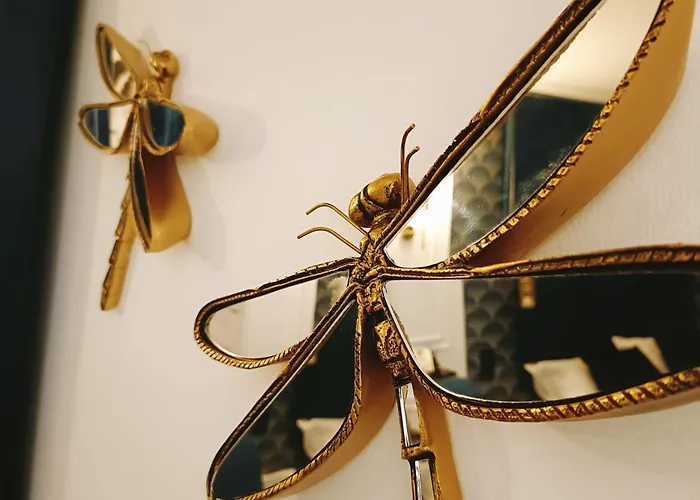 El Jardín De Libélulas * Coria