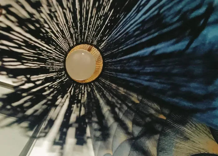 El Jardín De Libélulas